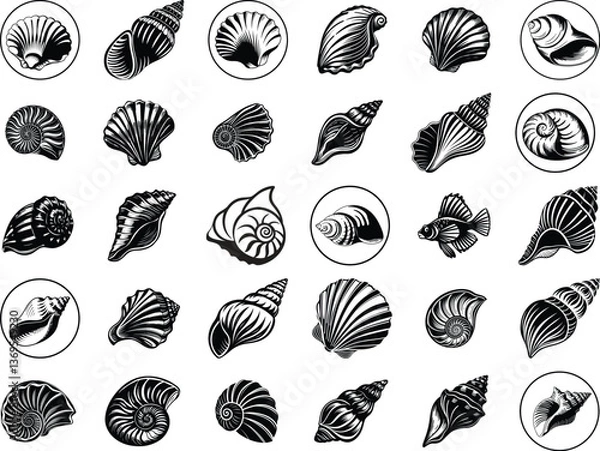 Fototapeta Seashell SVG Bundle