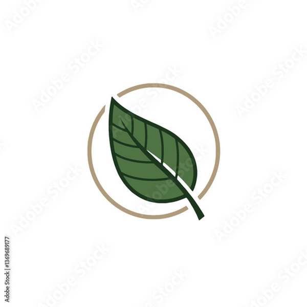 Obraz Green leaf inside a circle logo