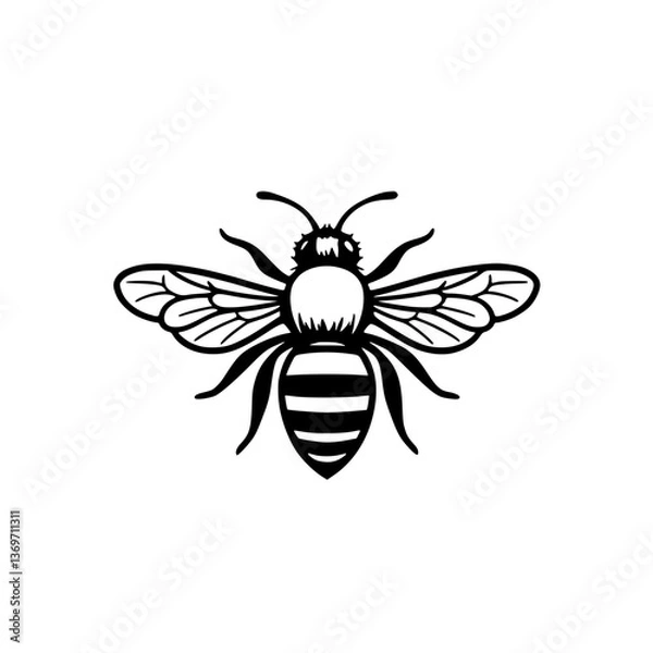 Fototapeta A and illustration of a bee with its wings spread The image showcases the insect's intricate details in a minimalist style isolated on a plain backdrop