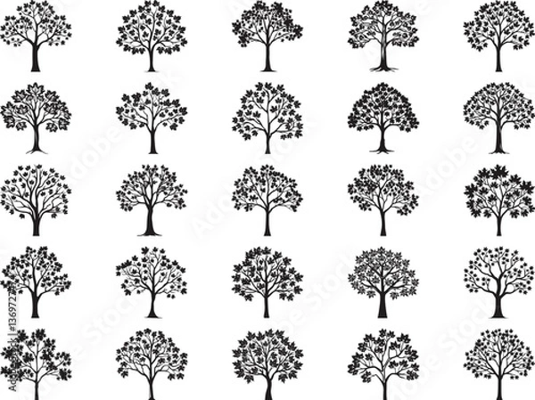 Fototapeta Maple Tree Svg Bundle
