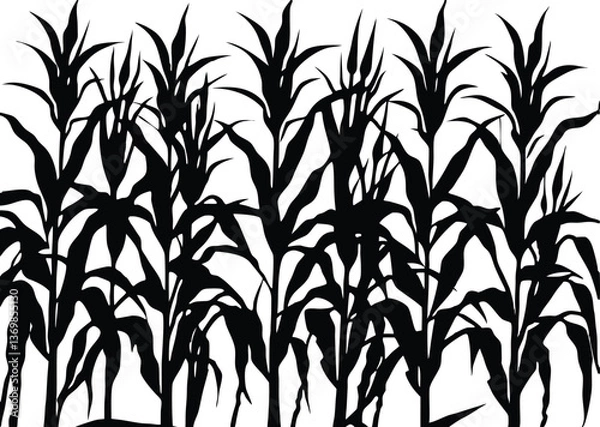 Fototapeta Maize field silhouette. Corn farm black vector illustration. Cultivation of crops.