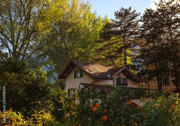 Obraz A Double-story house in poplar fluff