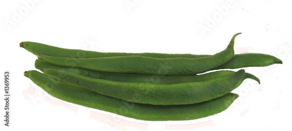 Fototapeta runner beans