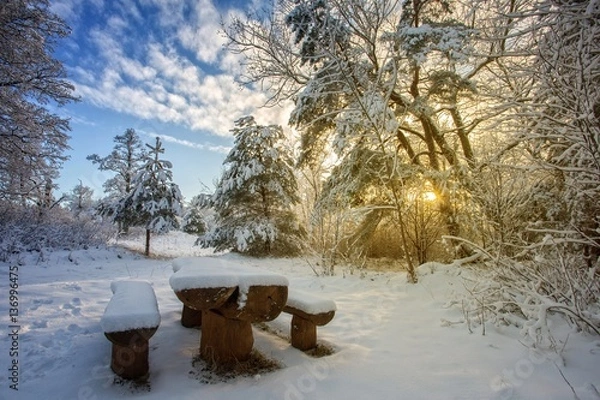 Fototapeta Winter rest