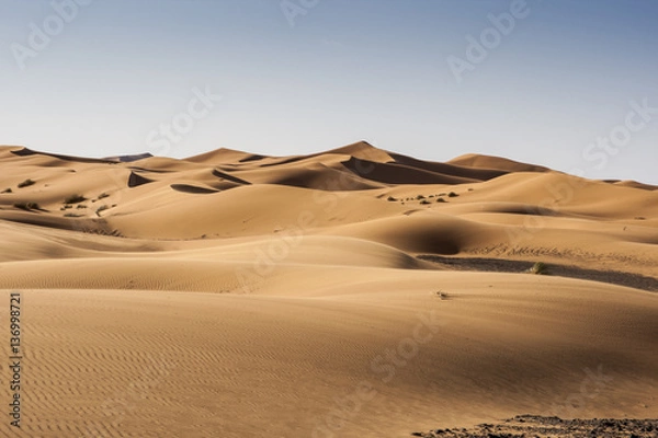 Obraz Desierto del Sahara, Marruecos