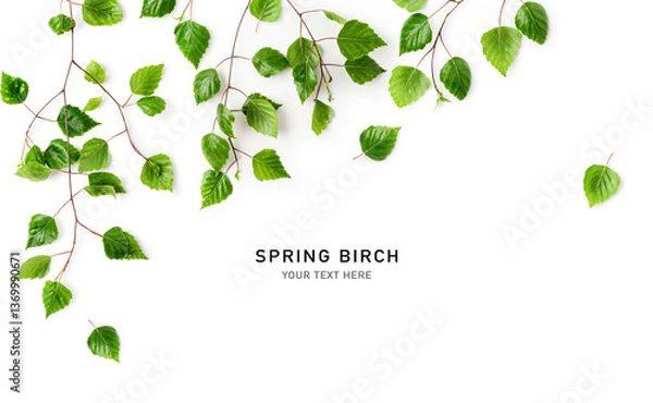 Obraz Birch tree branch with fresh green leaves frame border photography. Creative layout. Young spring sprout of birch isolated on white background. Top view, flat lay. Design element.