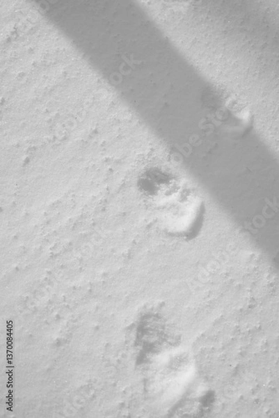 Fototapeta Mont Singer 28 Mars 2025 - N&B