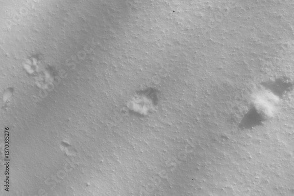 Fototapeta Mont Singer 28 Mars 2025 - N&B