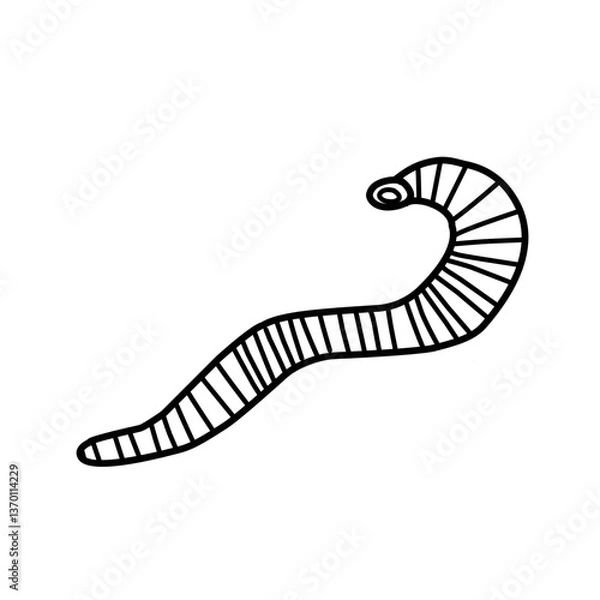Obraz Leech Therapy Vector Line Icon