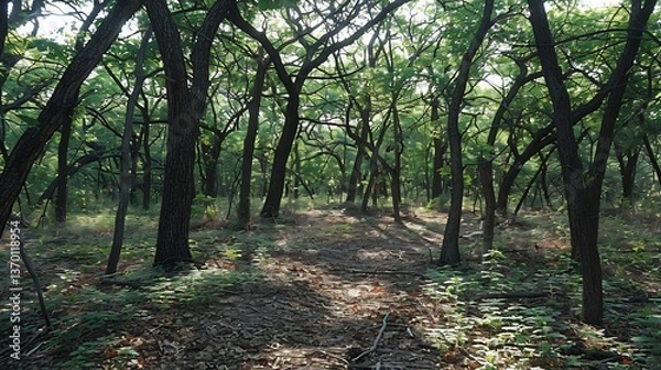 Obraz  A serene forest clearing where sunlight streams through the canopy, casting dappled shadows on the forest floor, with wildflowers blooming in abundance and a sense of calm permeating the air 