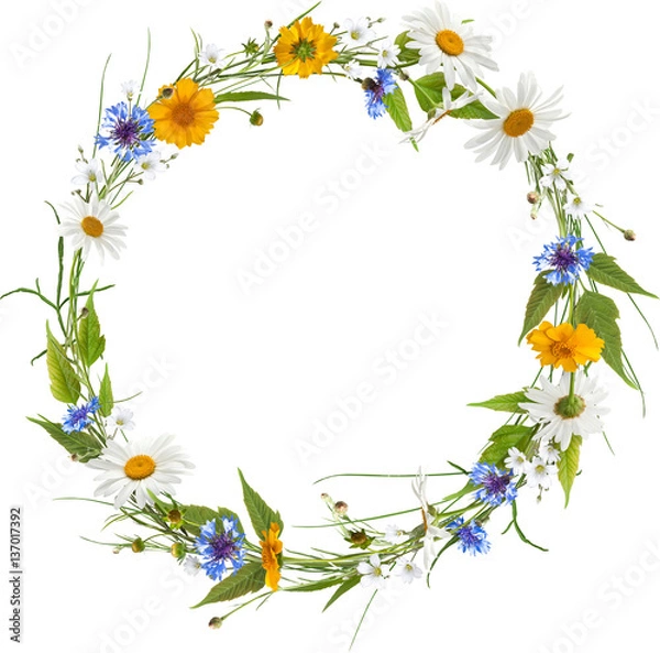 Fototapeta Circle frame from spring flowers without shadow