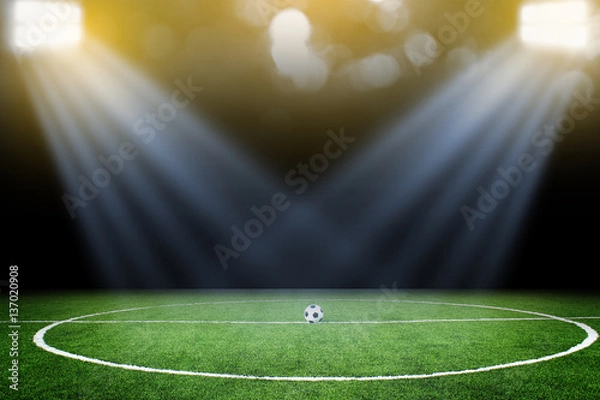 Fototapeta soccer field