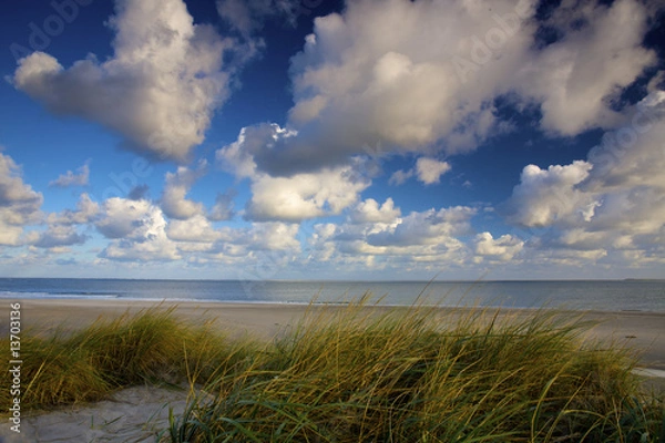 Fototapeta Dunes at the sea with green grass in Holland at sunset