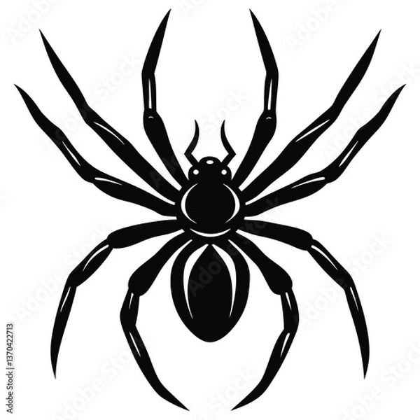 Obraz vector emage of spaider silhoette vector