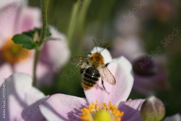 Obraz Wiosenne kwiaty