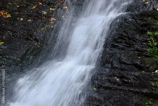 Obraz Laznyi Waterfall in Carpathian mountains, Ukraine. Stream with clear frothy water flowing down dark rocks. 