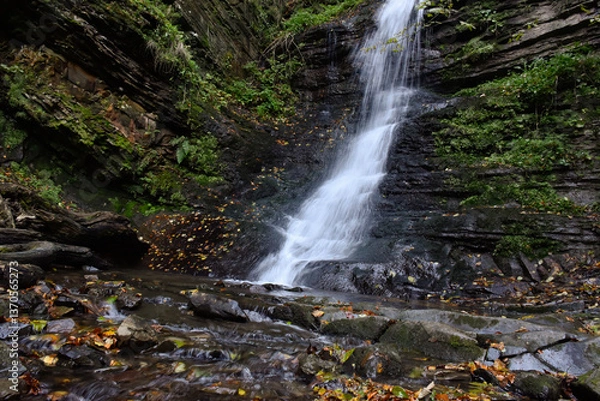 Obraz Laznyi Waterfall in Carpathian mountains, Ukraine. Large stream with clear frothy water flowing down moss-covered rocks. Beautiful autumn landscape, woodland, golden leaves on dark stones. 