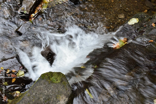 Obraz Laznyi Waterfall. Mountain stream with clear frothy water, mossy rocks, colorful fallen leaves. Beautiful nature of Carpathians.
