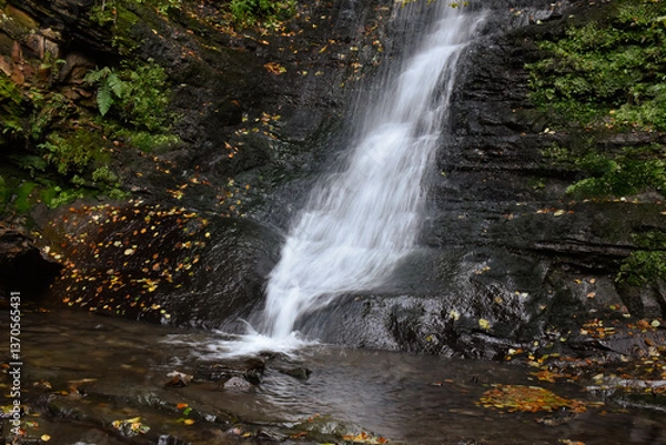 Obraz Laznyi Waterfall in Carpathian mountains, Ukraine. Stream with clear frothy water flowing down moss-covered rocks. Beautiful autumn landscape, woodland, golden leaves on dark stones. 