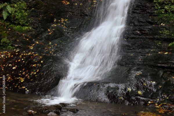 Obraz Laznyi Waterfall in Carpathian mountains, Ukraine. Stream with clear frothy water flowing down moss-covered rocks. Beautiful autumn landscape, woodland, golden leaves on dark stones. 
