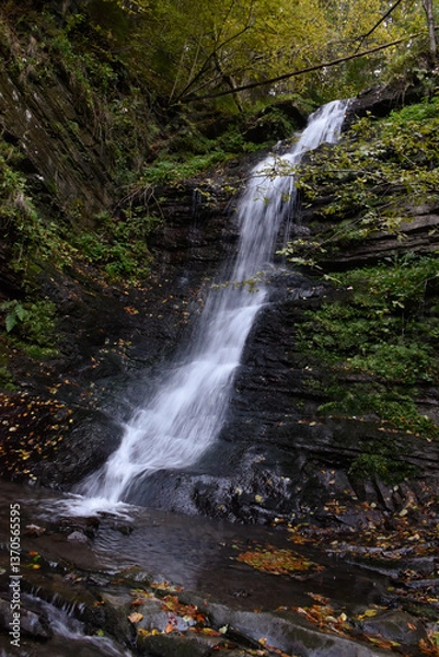 Obraz Laznyi Waterfall in Carpathian mountains, Ukraine. Large stream with clear frothy water flowing down moss-covered rocks. Beautiful autumn landscape, woodland, golden leaves on dark stones. 