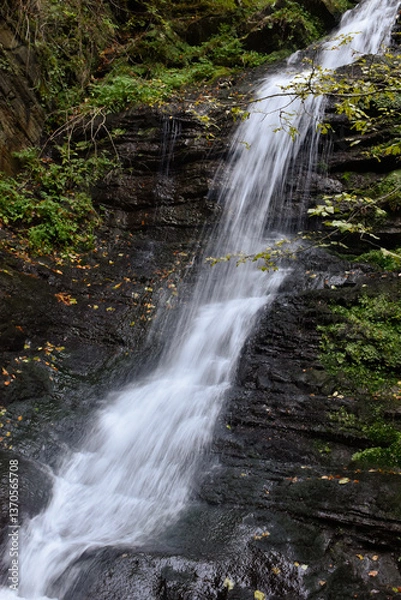Obraz Laznyi Waterfall in Carpathian mountains, Ukraine. Large stream with clear frothy water flowing down moss-covered rocks. Beautiful autumn landscape, woodland, golden leaves on dark stones. 