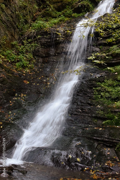 Obraz Laznyi Waterfall in Carpathian mountains, Ukraine. Large stream with clear frothy water flowing down moss-covered rocks. Beautiful autumn landscape, woodland, golden leaves on dark stones. 