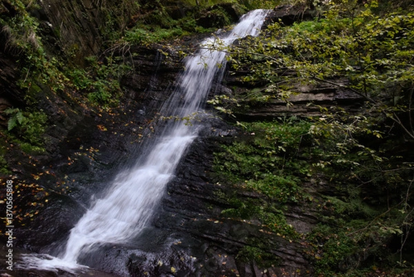 Obraz Laznyi Waterfall in Carpathian mountains, Ukraine. Large stream with clear frothy water flowing down moss-covered rocks. Beautiful autumn landscape, woodland, golden leaves on dark stones. 
