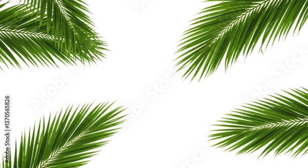 Fototapeta A Dynamic Arrangement of Palm Leaves Extending Diagonally Across the Frame-