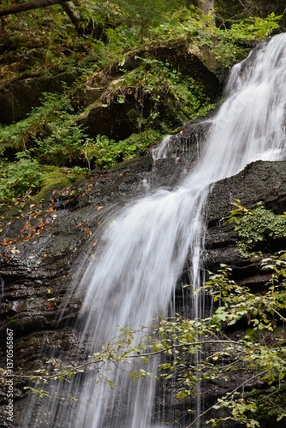 Obraz Laznyi Waterfall in Carpathian mountains, Ukraine. Large stream with clear frothy water flowing down moss-covered rocks. Beautiful autumn landscape, woodland, golden leaves on dark stones. 