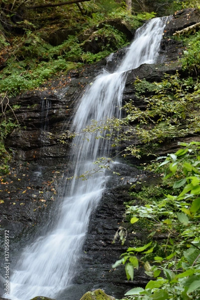 Obraz Laznyi Waterfall in Carpathian mountains, Ukraine. Large stream with clear frothy water flowing down moss-covered rocks. Beautiful autumn landscape, woodland, golden leaves on dark stones. 