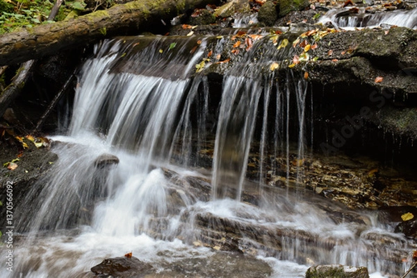 Obraz Laznyi Waterfall in Carpathian mountains, Ukraine. Stream with clear frothy water flowing among stepped rocks. Beautiful autumn landscape, woodland, colorful leaves on stones. 