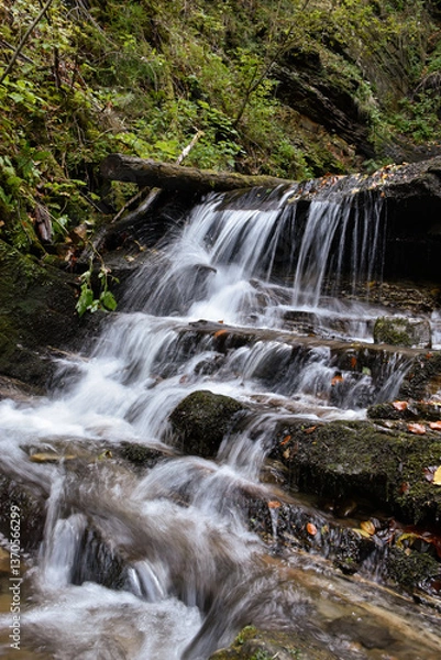 Obraz Laznyi Waterfall in Carpathian mountains, Ukraine. Stream with clear frothy water flowing among stepped rocks. Beautiful autumn landscape, woodland, colorful leaves on stones. 