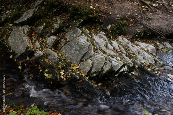 Obraz The source of Laznyi Waterfall. Mountain stream flowing along stepped rocks. Clear water, colorful fallen leaves on stones. Beautiful nature of Carpathians.