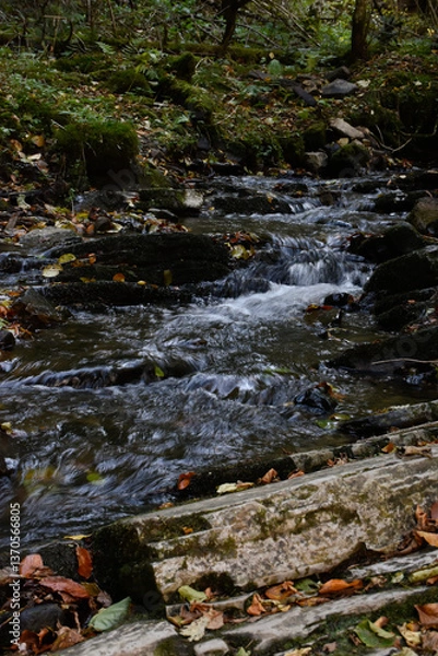 Obraz Laznyi Waterfall. Mountain stream flowing between mossy rocks in autumn forest. Clear frothy water, colorful fallen leaves on stepped cliffs. Beautiful nature of Carpathians.