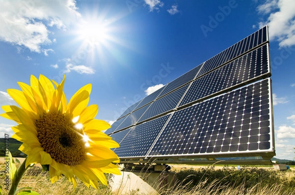 Obraz Moduł słoneczny3