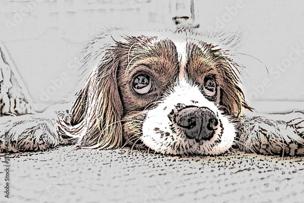 Fototapeta A dog lying on the floor and playing with its owner