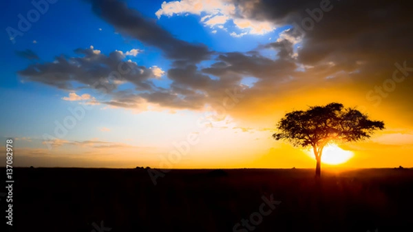 Obraz Africa Sunset Tree