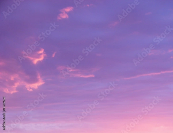 Obraz magenta sky
