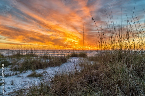 Obraz Path to Transformation