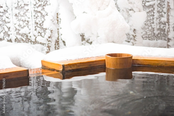 Obraz Japan hot spring