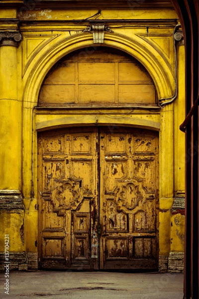 Obraz Old door