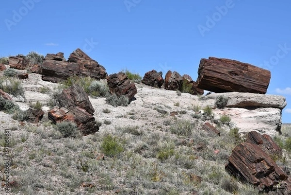Fototapeta View at Petrified Forest National Park in Arizona