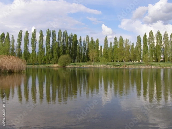 Obraz Lac de Châtellerault