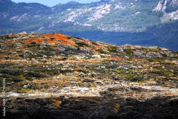 Fototapeta View in Tierra del Fuego Argentina