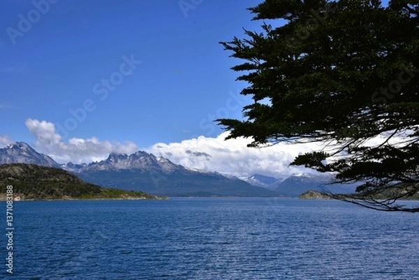 Obraz View in Tierra del Fuego Argentina, end of the world