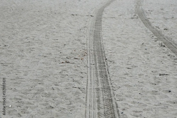 Obraz Tire tracks in the sand on a beach