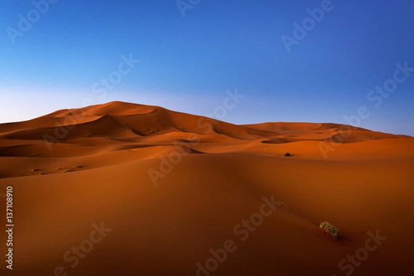 Fototapeta View of the dunes at dawn in Erg Chebbi near Merzouga in Morocco, North Africa; Concept for travel in Morocco