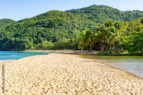 Obraz Strand Grande Anse, bei Deshaies, Basse-Terre, Guadeloupe, Karibik