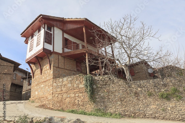 Obraz Countryside House